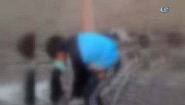 "Patileri kesilen köpekle" provokasyon uyarısı