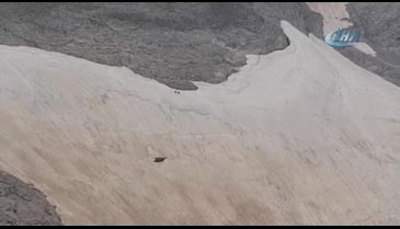 Bursa'da dağcıların kamerasına yavru ayılar takıldı!