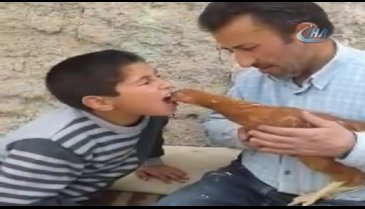 Tavuğu ağzındaki yemle besledi