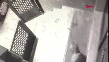 Kadıköy'de köpeğe şiddet kameraya yansıdı