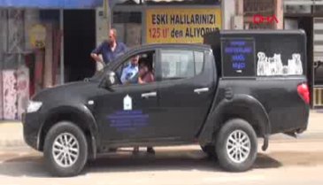 Bursa'da 4 ayağı kesilmiş yavru kedi cesedi bulundu!