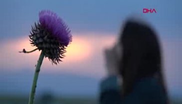 Ağrı'da 2 bin kişi Leyla'yı arıyor!