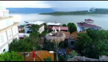 Bursa'da leylek yavrularına itfaiye merdiveniyle özel besleme