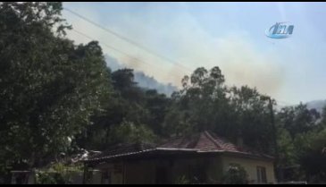 Muğla'da orman yangını çıktı!