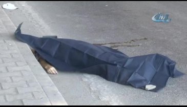 Eskişehir Bursa karayolunda feci kaza: 1 ölü