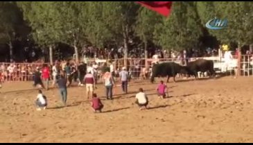 Geleneksel festival ringe dönüştü!