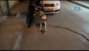 Bursa'da iz takip köpeği sokak sokak yaşlı adamı aradı