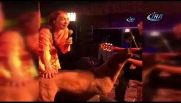 Sahneye çıkan sokak köpeği Leman Sam'a eşlik etti!