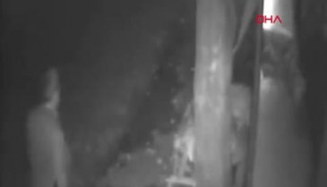 Dakikalarca köpeği dövdü, görüntülere rağmen reddetti!