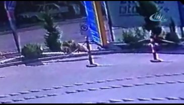 Bursa'da köpek hırsızı kameralara yakalandı