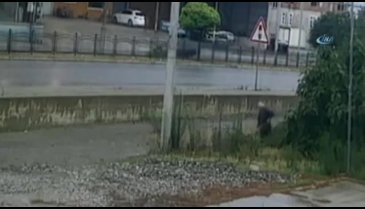 Samsun'da yaşlı adama öldüresiye dayak