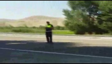 Polis memurlarının 'at' şaşkınlığı