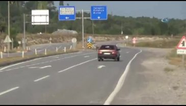 'Eşek inadı' dedikleri tam da bu
