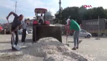 Bursa'nın tescilli ay çekirdeği 'İnegöl alası'nın hasat zamanı