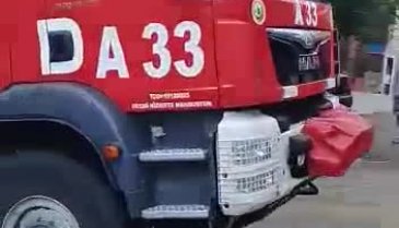 Bursa'da orman yangını çıktı!