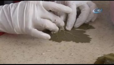 Dünyanın dört bir yanından gelen öğrenciler Bursa'da sarma sardı, mantı yaptı