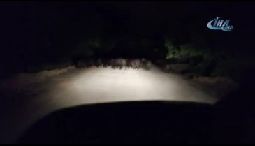 Bursa'da köylülerin silahla domuz nöbeti