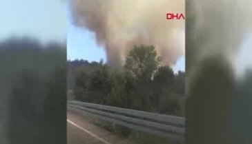 Bursa Mudanya'da orman yangını