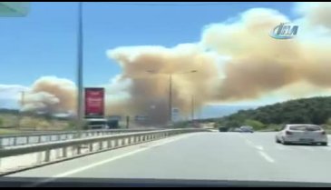 Bursa Mudanya'da orman yangını - 2