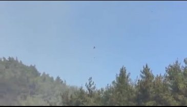 Bursa Mudanya'da orman yangını - 3