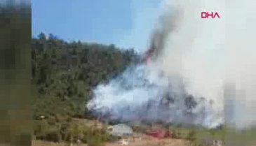 Bursa'da arı kovanlarının bulunduğu bölgede yangın