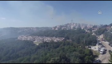 Bursa'daki orman yangını kontrol altına alındı! Soruşturma başlatıldı