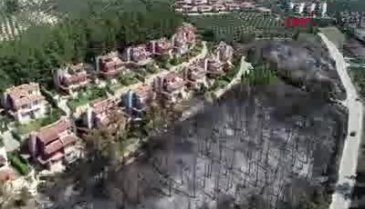 Bursa Mudanya'daki yangın sigara izmaritinden çıkmış -2