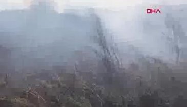 Bursa İznik'te sazlık yangını