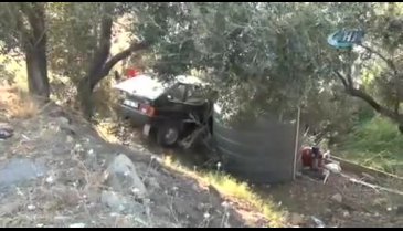 Alkollü sürücü zeytin ağacının üstüne uçtu