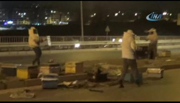 Arı kovanı yüklü kamyonet devrildi