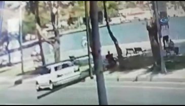 At binicisiyle birlikte denize düştü!
