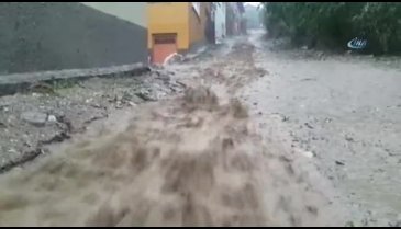 Bursa Keles'te dolu yağışı sebze ve meyve bahçelerine zarar verdi