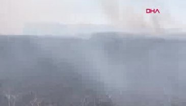 Bursa İznik'te ihmal sazlıkları kül ediyor