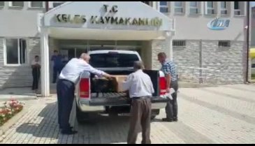 Bursa'da gökten pelikan düştü