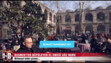 Bilimsel bitki çizimi nedir?