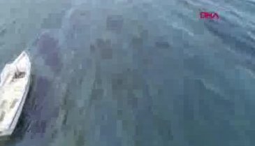 Ünlü tatil bölgesinde şok görüntüler! Hızla yayıldı