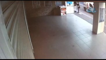 Bursa'da güpegündüz sahipli kediyi böyle alıp gittiler