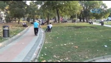 Bursa İnegöl'de başıboş köpekler dehşet saçtı