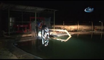 Sulama havuzunda ölü bulundu