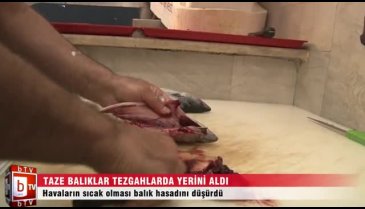 Bursa'da balık tezgahları tam dolmadı