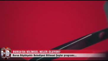 Tıp biliminin babası İbn-i Sina kimdir?