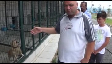 Bursa'da iki çocuğu ısırmıştı yakalandı! Karantinada...
