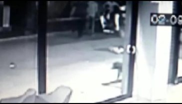 Üniversite son sınıf öğrencisi böyle öldürüldü