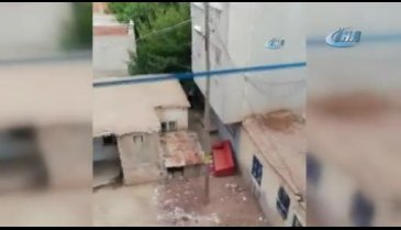 Köpeğe yapılan işkence kameralara yansıdı