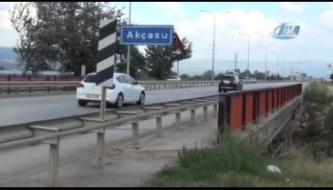 Bursa'da, bir derede daha toplu balık ölümü
