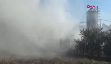Bursa'da tavuk çiftliğinde yangın çıktı!
