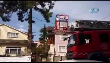Bursa'da ağaçta mahsur kalan 'Jaguar' böyle kurtarıldı