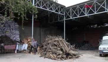 Bursa'nın 'ihtiyar delikanlı'sı! 85 yaşında günde 3 ton odun kırıyor