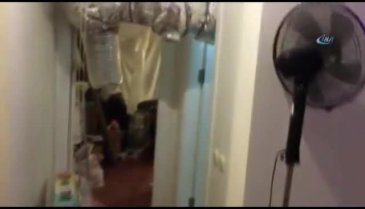 Apartman dairesinden uyuşturucu serası çıktı