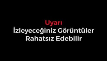 Asansördeki taciz anları kameraya yansıdı